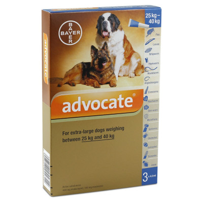 advocate for dogs online
