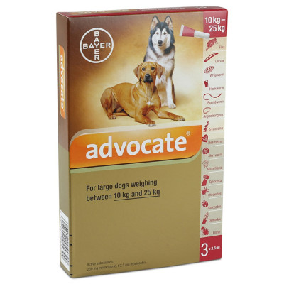 advocate 250 for dogs