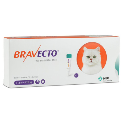 Sygeplejeskole spray Moralsk uddannelse Buy Bravecto Spot On Medium Cat (2.8-6.25kg) 250mg – pack of 1 Online |  SmartVetMeds | SmartVetMeds